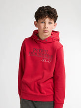 Lade das Bild in den Galerie-Viewer, Hoodie SWH302
