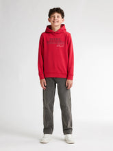 Lade das Bild in den Galerie-Viewer, Hoodie SWH302
