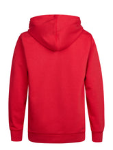 Lade das Bild in den Galerie-Viewer, Hoodie SWH302
