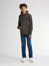 Lade das Bild in den Galerie-Viewer, Hoodie SWH330
