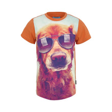 Lade das Bild in den Galerie-Viewer, Legends22 set - 2201
