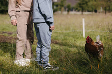 Lade das Bild in den Galerie-Viewer, Pants Sterre
