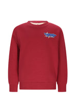 Lade das Bild in den Galerie-Viewer, Sweater Simon
