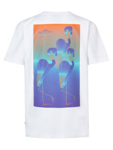 Lade das Bild in den Galerie-Viewer, T-shirt Petrol TSR648
