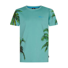 Lade das Bild in den Galerie-Viewer, T-shirt Petrol TSR130
