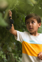 Lade das Bild in den Galerie-Viewer, T-shirt Florian
