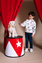 Lade das Bild in den Galerie-Viewer, Sweater Hagar
